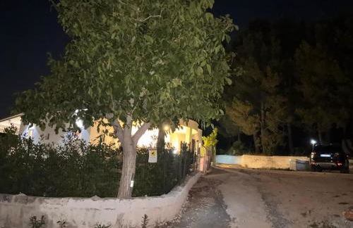 Casa Daniel - Foto 50