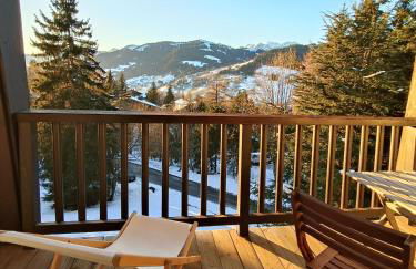 Le green d'Arbois - Ski à pied - Foto 9