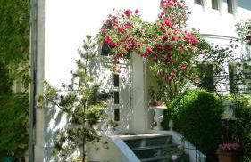 Stadtvilla-Apartment mit Parkblick und bester Verkehrsanbindung - Photo 1