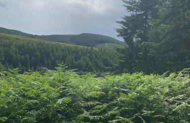 Corrie Lodge, Glendevon - Foto 37