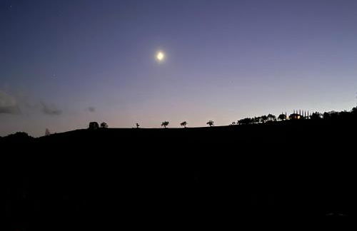 Vineyard Farmhouse in Massignano - Foto 26
