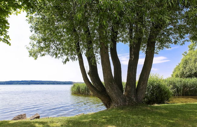 Schlosspark Bad Saarow - Foto 52