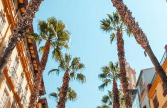 Altavista Capuchinos 84 - 3 Bedrooms - Foto 33