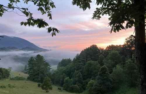 Mountain Top Cabin! Hot tub, Fireplace, Dog Friendly - Photo 5