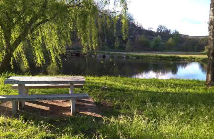 Serapicos House - Foto 33