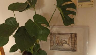 Isangarda Apartment - Foto 3