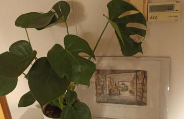 Isangarda Apartment - Foto 3