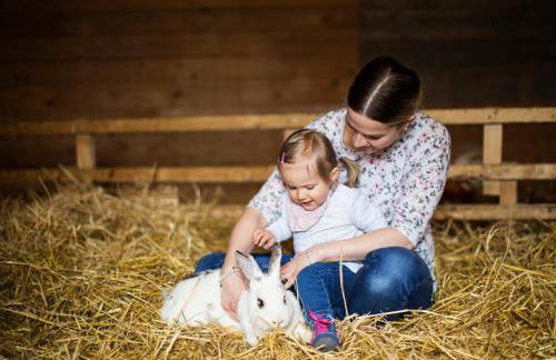 Landhaus Schulte-Göbel - Foto 27