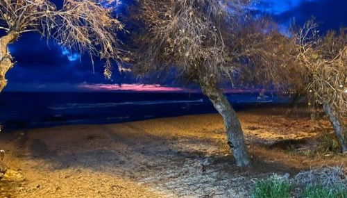 Villa Salentina, Bagnara - Foto 3