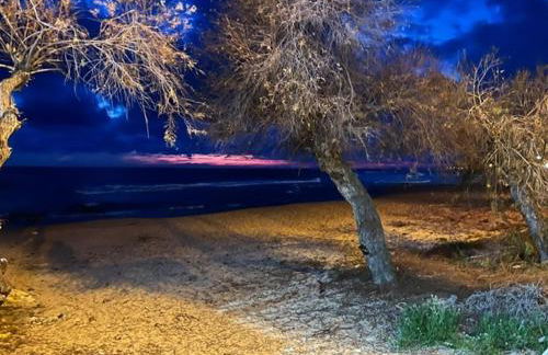 Villa Salentina, Bagnara - Foto 3