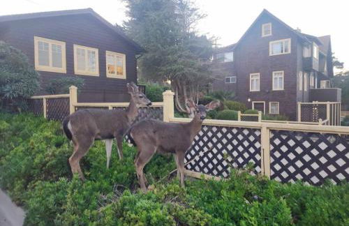 Charming Beach House-Ocean View(270H) - Foto 12