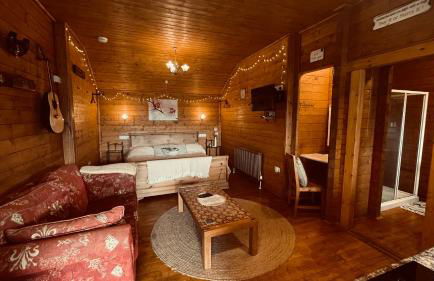 Blossom Cabin - Little log Cabin in Wales - Foto 12