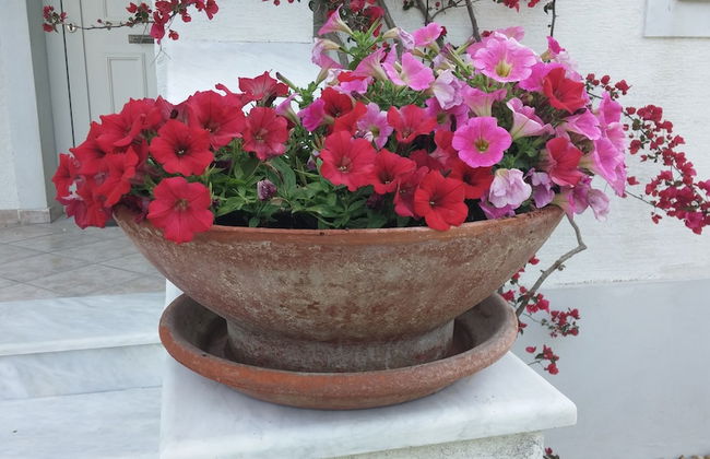 Corfu Anastasia - Foto 19