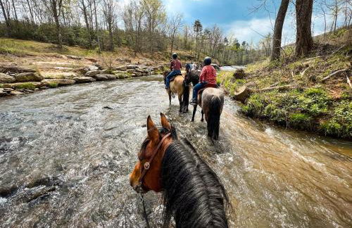 Clayton's 1910 Restored Mill House-near Burlington - Foto 44
