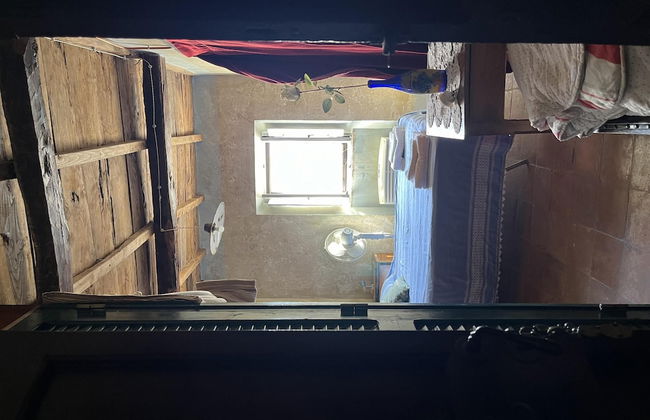 Preta Nera Van Gogh in Giuliano di Roma - Foto 6