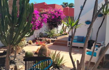 Villa Rosa meravigliosa con piscina interna - Photo 23