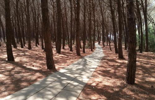 Le Ville di Porto Ada - Foto 44