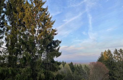 Relaxing Catskill Escape- Mountain Views - Hot Tub - Fire Pit - Heated Pool - Foto 28