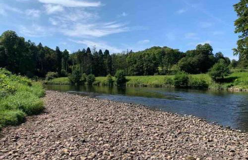 The Orchard Apartment, Clyde Valley - Foto 24