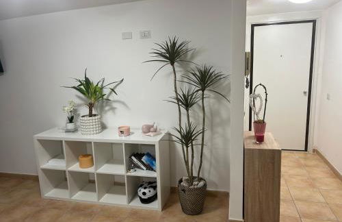 Aba Gianola - Foto 54