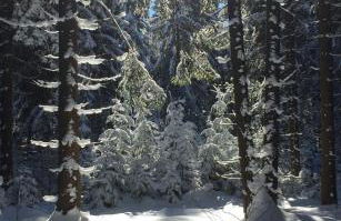 Ferienwohnung Wegespinne - Foto 22