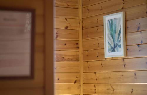 Luxury Wood Lodge with sauna, log burner & private woodland garden - Wnion Wood Lodge - Foto 32