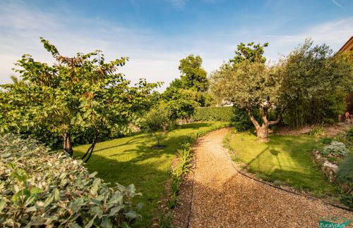 Le Clos des Eucalyptus - Foto 59