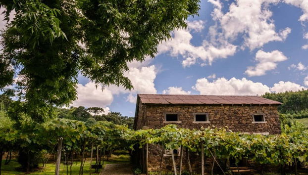 I paesaggi dei Caminhos de Pedra