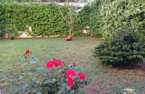 Casa Romeo - Foto 45