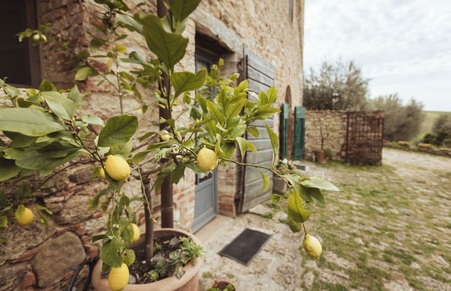 Podere Spedalone - Photo 76