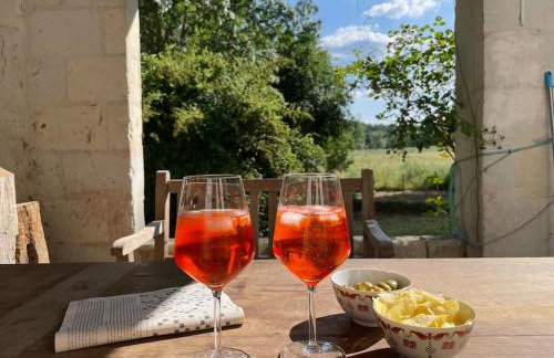 Huis op een eiland in de Loire - Photo 24