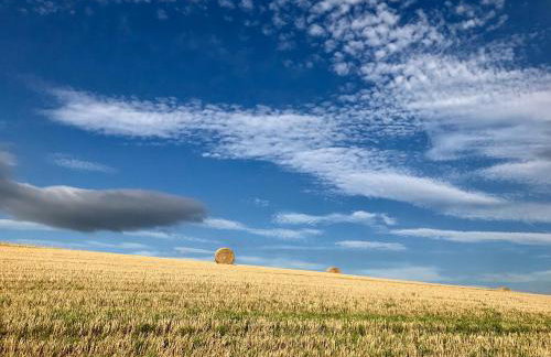 Riding Farm Cottages - Foto 60