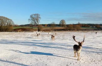 Smocze Ranczo 3 - Foto 67