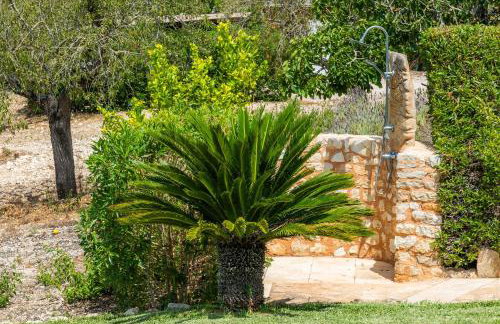 Es Turó de Son Mel - Foto 32