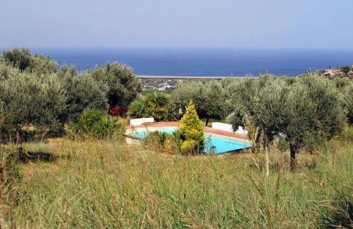 La Gabbianella E Il Gatto - Foto 7