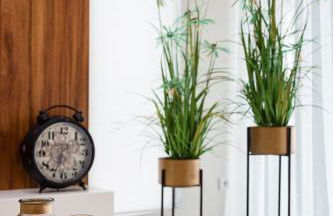 House Rodrigues - Photo 17