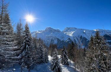 Chalet Altus - Foto 68