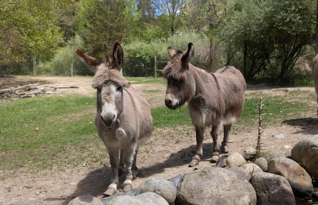 Modern Farm Home 2hr NYC BOS Peaceful Wifi - Foto 35