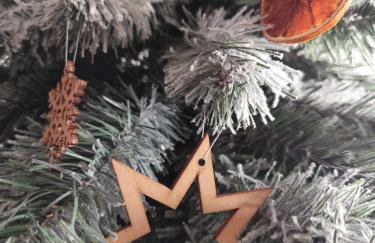 Górska Stodoła - Domek z Prywatnym Jacuzzi - Foto 36