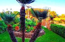 Villa Michelle - Foto 79