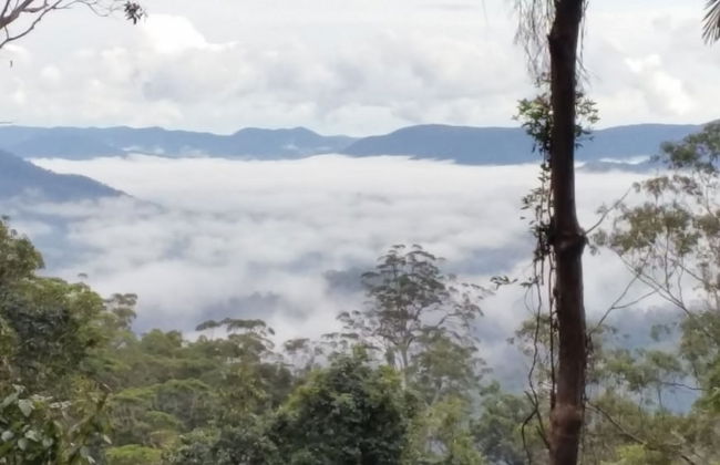 Bellthorpe Stays - Foto 36