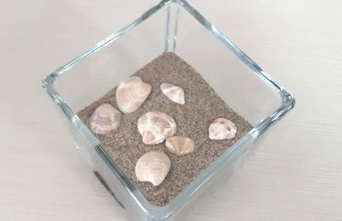 Appartamento Palazzo Moretto - Foto 11