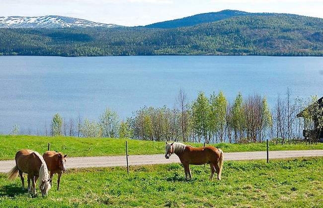 6 Person Holiday Home in Nordli-by Traum - Foto 9