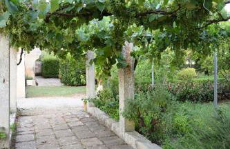 Agriturismo Antica Masseria i Cocci - Foto 63