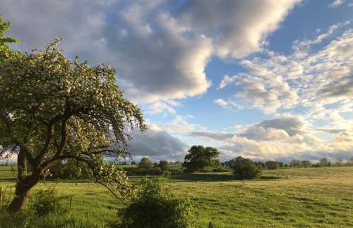 Wilde Möhre Bauwagen Sommerküche Draussen Abenteuer - Photo 21