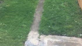 Challoner House - sleeps 5 - Foto 3, Garden