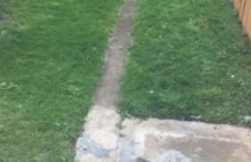 Challoner House - sleeps 5 - Photo 3