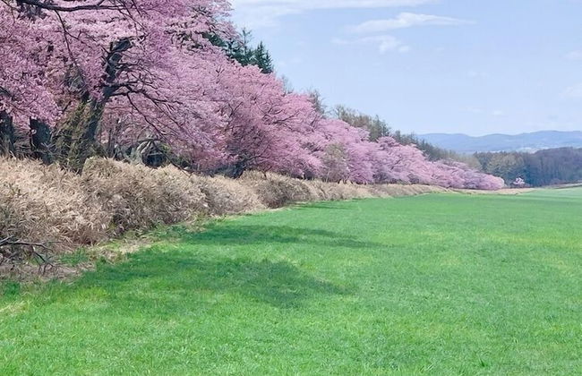 THE VILLA ABASHIRI - Foto 66