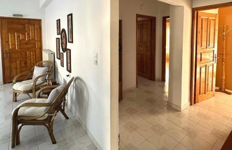 Eleocharis near Amfilochia & Amvrakikos Gulf - Foto 7