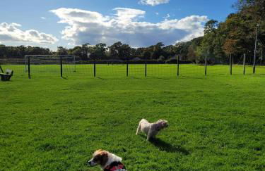 New Forest Bees Holiday Home, Bashley - Foto 16